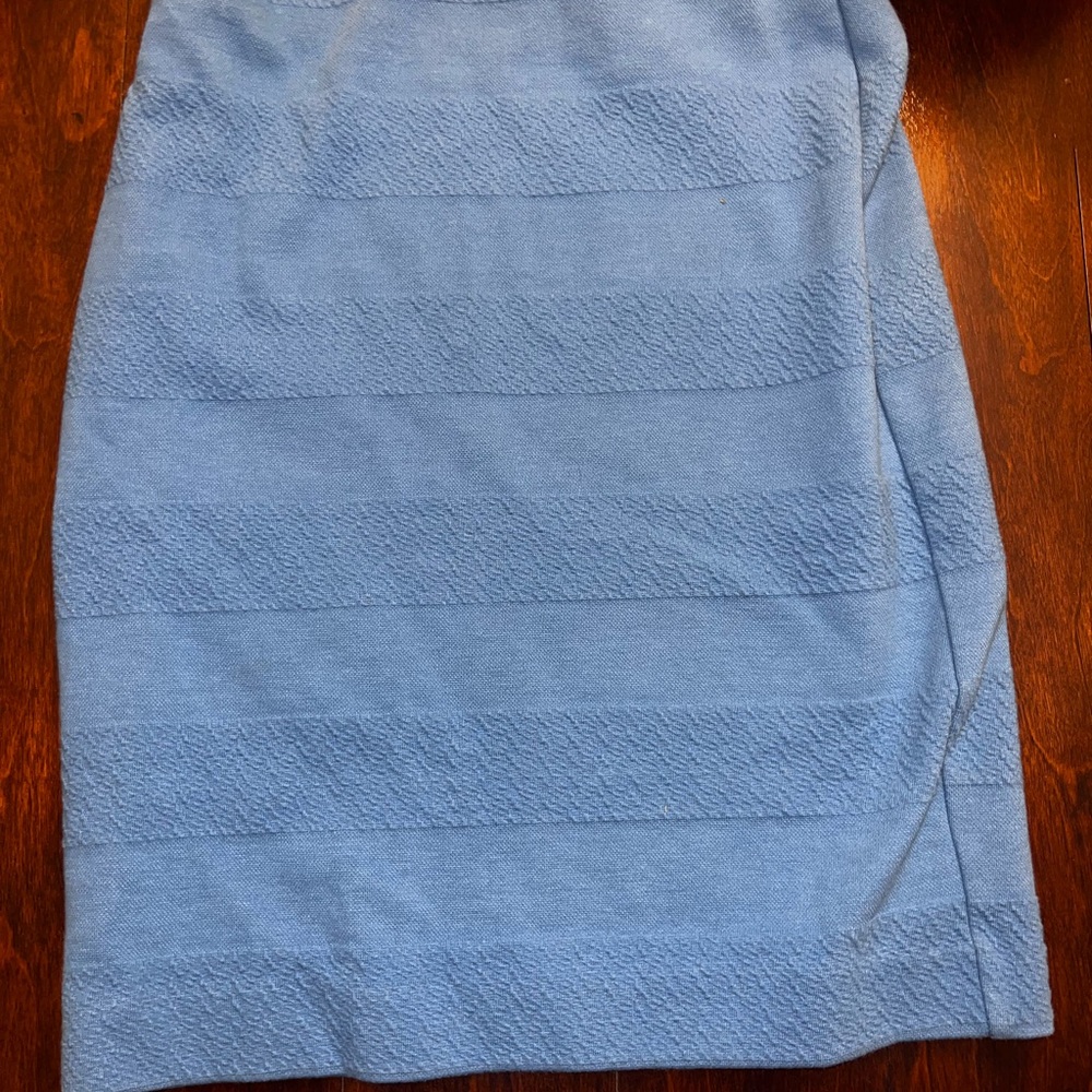 Ann Taylor Factory Blue Pencil Skirt